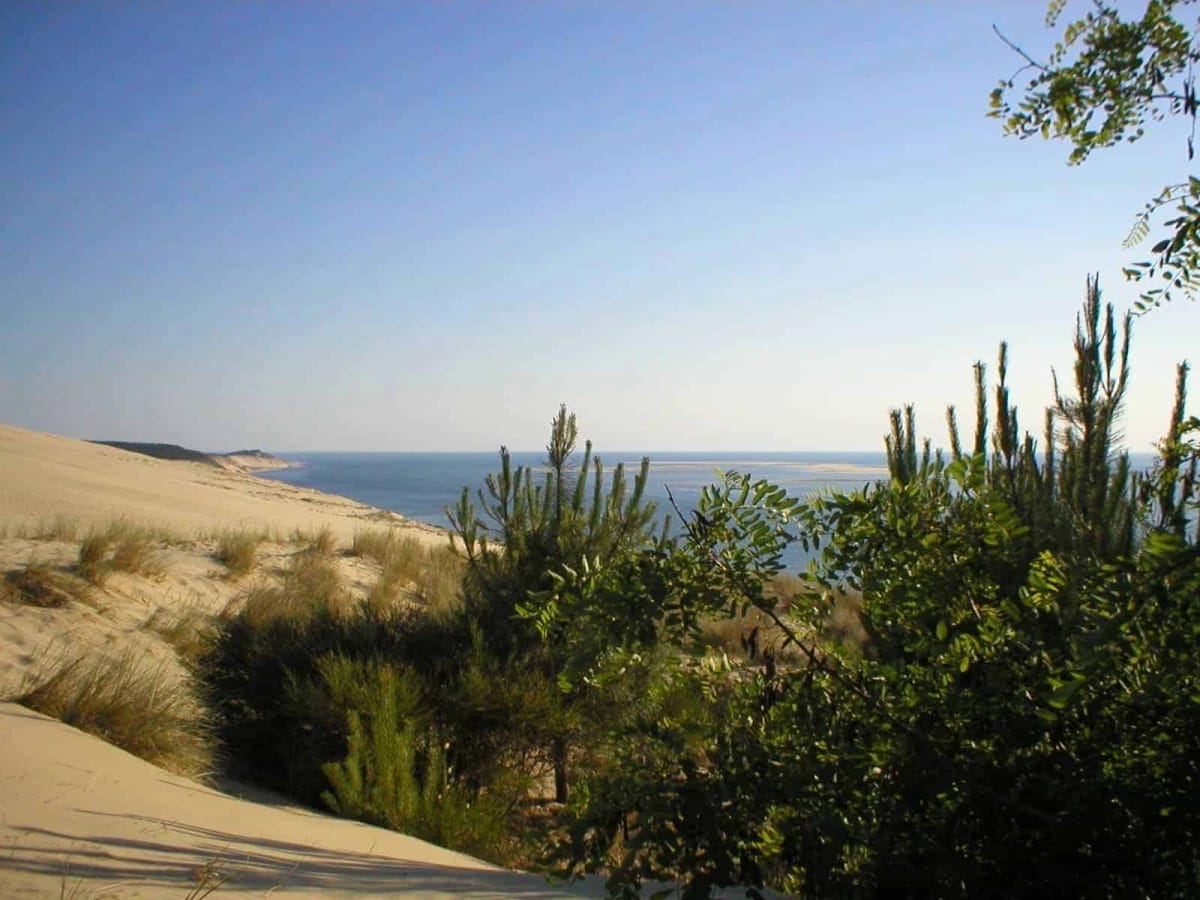bike-around-bordeaux-great-tour-gironde